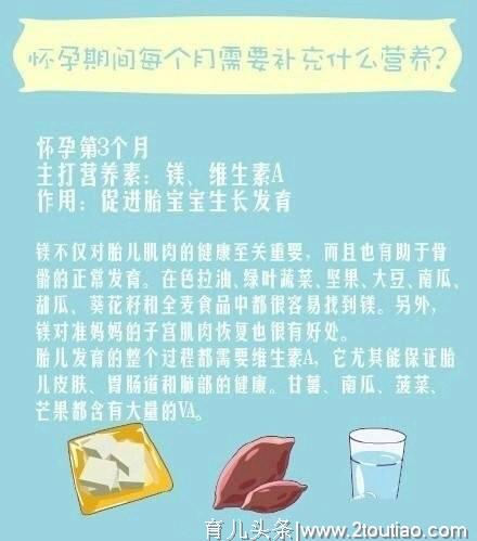 怀孕期间每个月需要补充什么营养