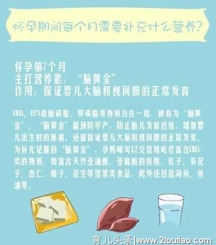 怀孕期间每个月需要补充什么营养