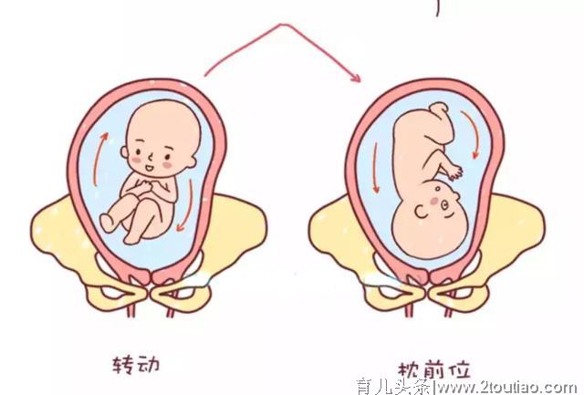 B超单上显示这四个大字，恭喜你，已拿到顺产“通行证”