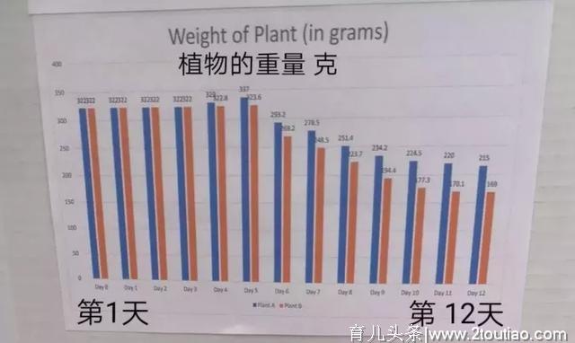 实例剖析：中美科学启蒙教育到底有啥不一样？