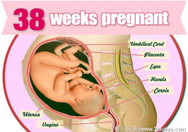 37周就可以剖腹产了？专家：早期足月和完全足月，不是一码事儿