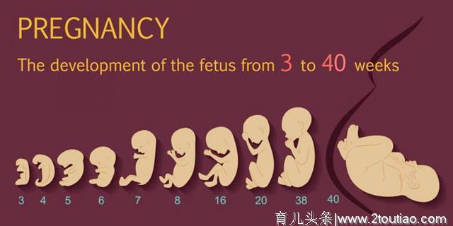 37周就可以剖腹产了？专家：早期足月和完全足月，不是一码事儿