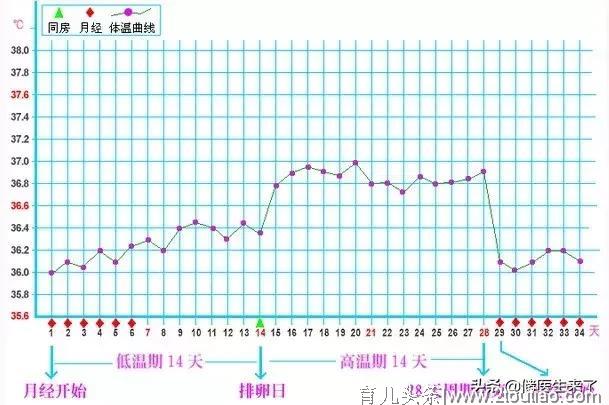 备孕怎么做？做好这10件事，让你事半功倍！