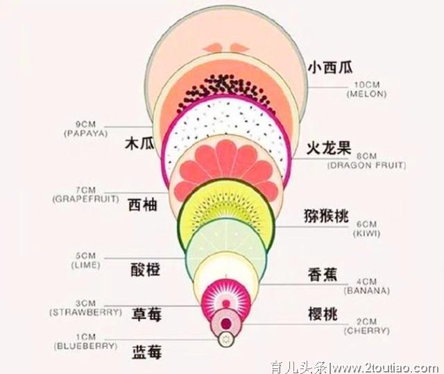 顺产开到“十指”，最后有多大？十种水果形象展示，看完心疼宝妈