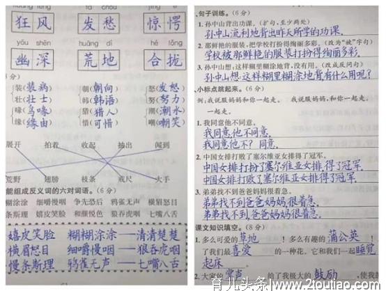 9岁男孩的字堪比“印刷”，老师改卷不忍打叉，网友：治好强迫症