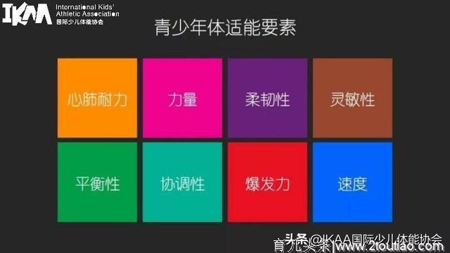 儿童体适能是什么？