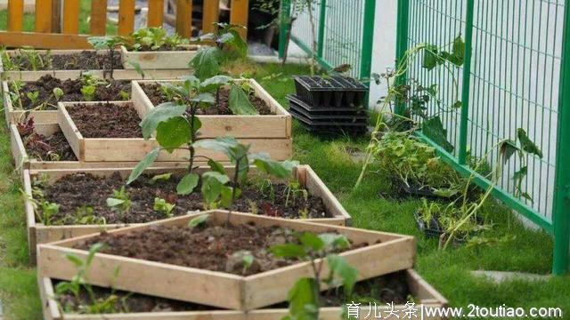 華詩視點 | 亲子农场农业种植你安排对了吗？