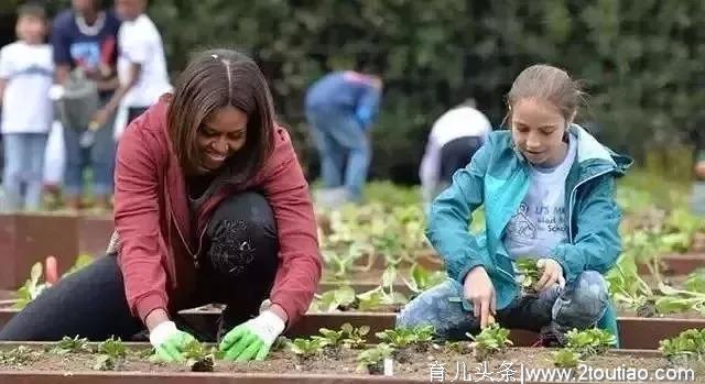 華詩視點 | 亲子农场农业种植你安排对了吗？