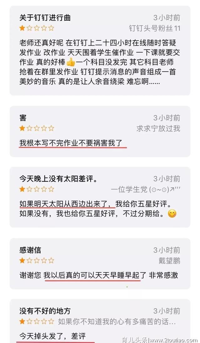 钉钉终于向小学生低头了？