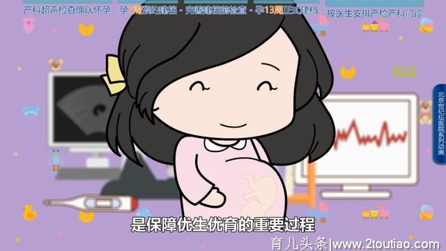 【科普动画】怀孕了，该做什么准备？