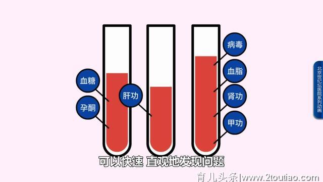 【科普动画】怀孕了，该做什么准备？