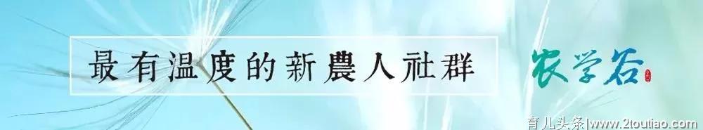 从方法到案例实践：4步玩转亲子农庄