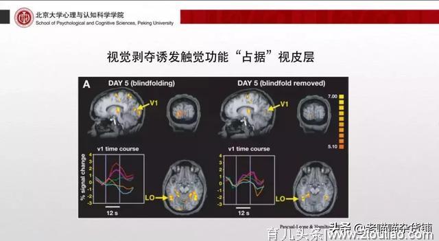 北大教授：过度识字影响学龄前儿童想象力