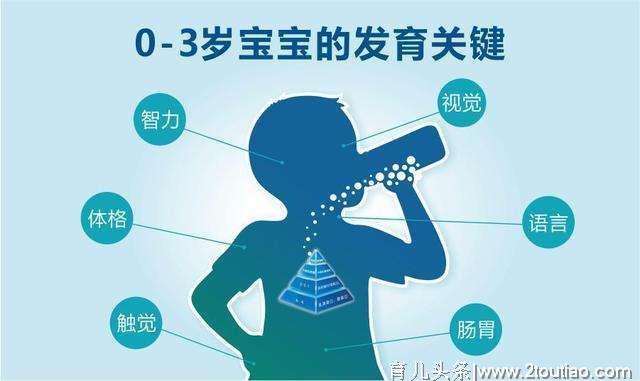 幼儿三岁前发展关键期，家长们可要记牢了