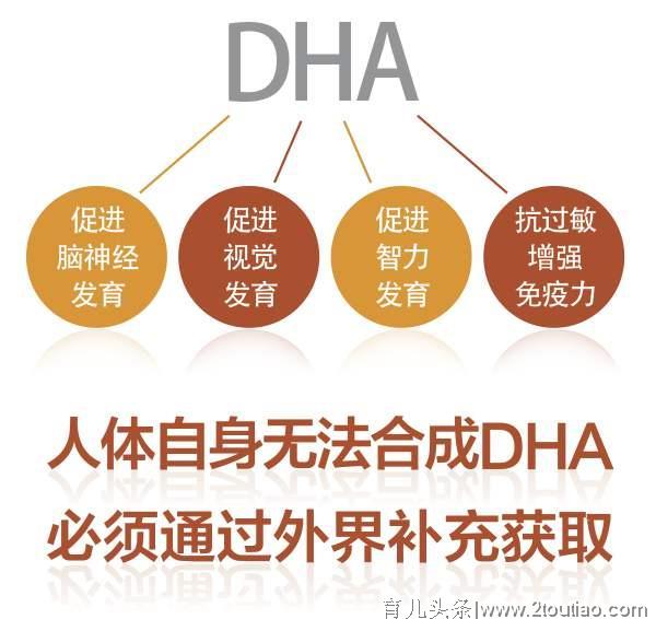 怀孕后多久可以补充DHA？不要错过这个时间，孕妈早知道