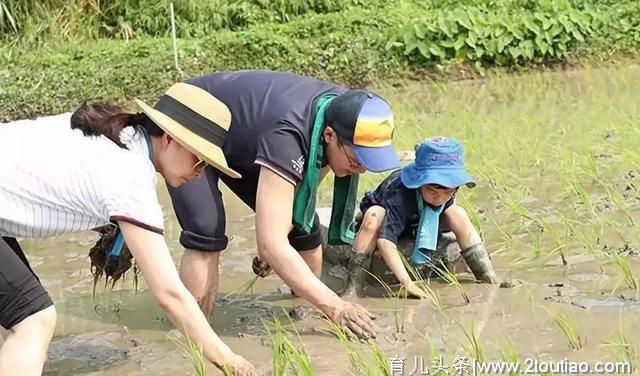 郭晶晶式育儿：什么是精英教育？这是我见过最好的答案