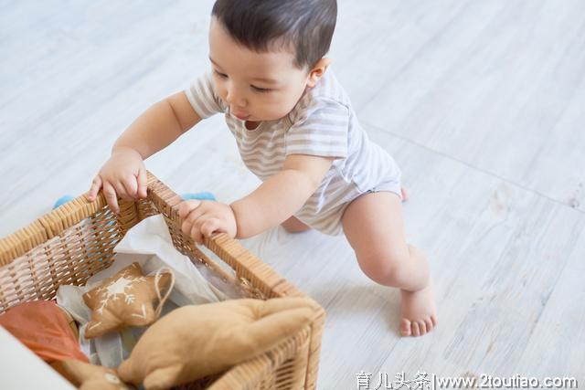 真正的早教，应该教什么？这几点能力都是宝宝必备的