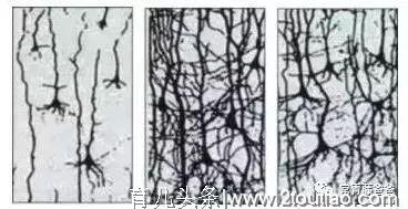 早教在家就可以做，别再浪费钱去外面报上万的早教班了