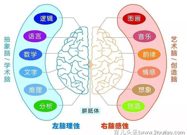 早教就是上早教课？了解这些后，家长再也不纠结要不要上早教班了