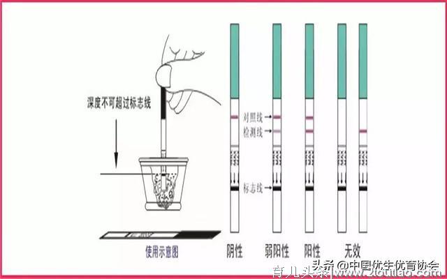 【刘大夫说】不能正确判断是否怀孕，孕妈妈怎能开启幸“孕”之路！