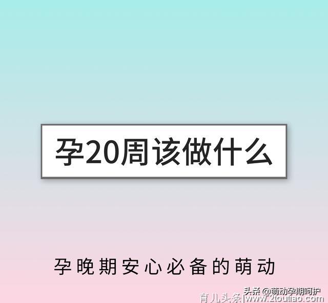 孕期知识：进入孕20周，这些事情你都安排上了吗？