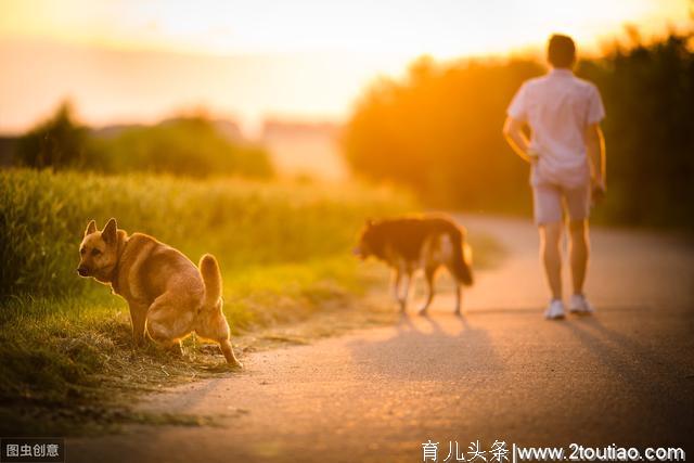 “暴躁式”育儿对孩子有什么影响？专家提出3点，让家长醍醐灌顶