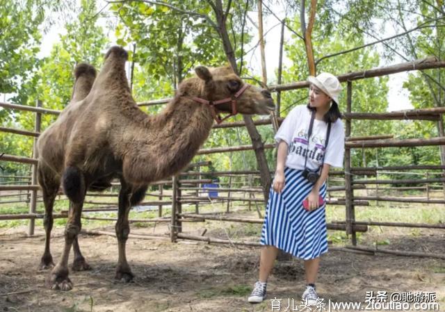 亲子出游推荐地 | 泡温泉、看萌宠、保护家园亲子活动一起来玩吧