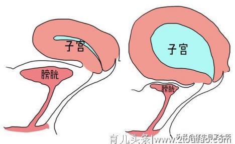 孕妈产后8大禁忌，这些事情不要做错！