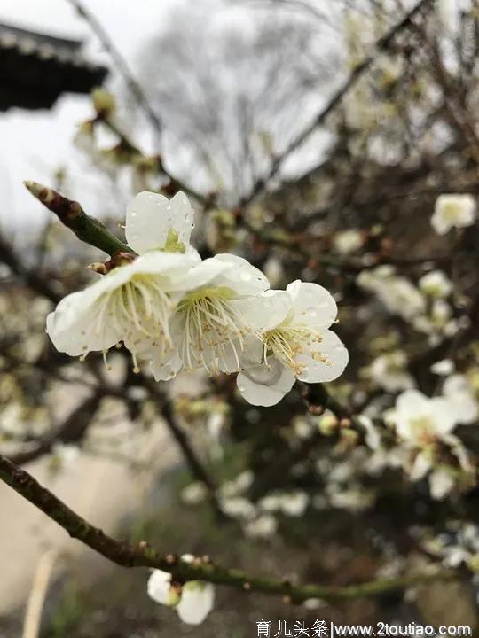 清明节期间，可以和孩子这样度过亲子时间