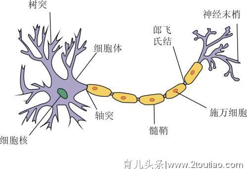 0~3岁宝宝的“早教陪玩”攻略，帮孩子越玩越聪明，父母快收藏